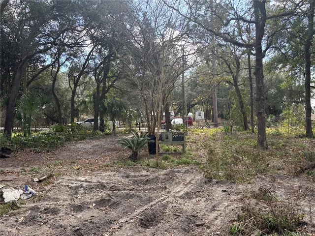 a view of outdoor space with lots of trees