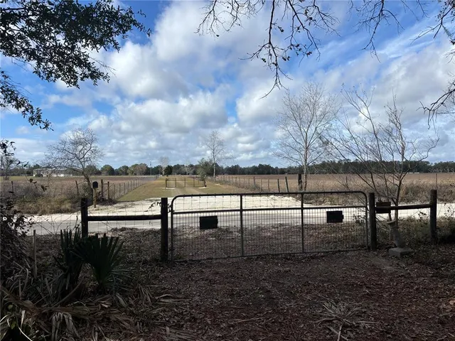 a view of a yard with a tree