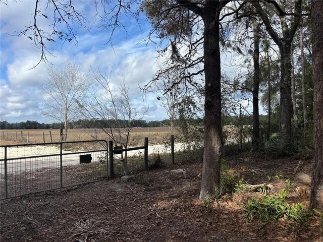 a view of outdoor space with lots of trees