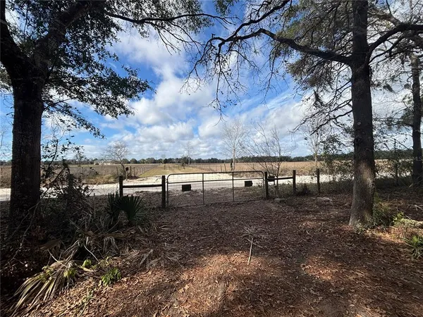 a view of dirt yard with a large tree
