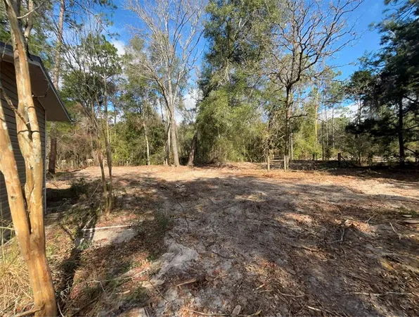 a view of a yard with trees