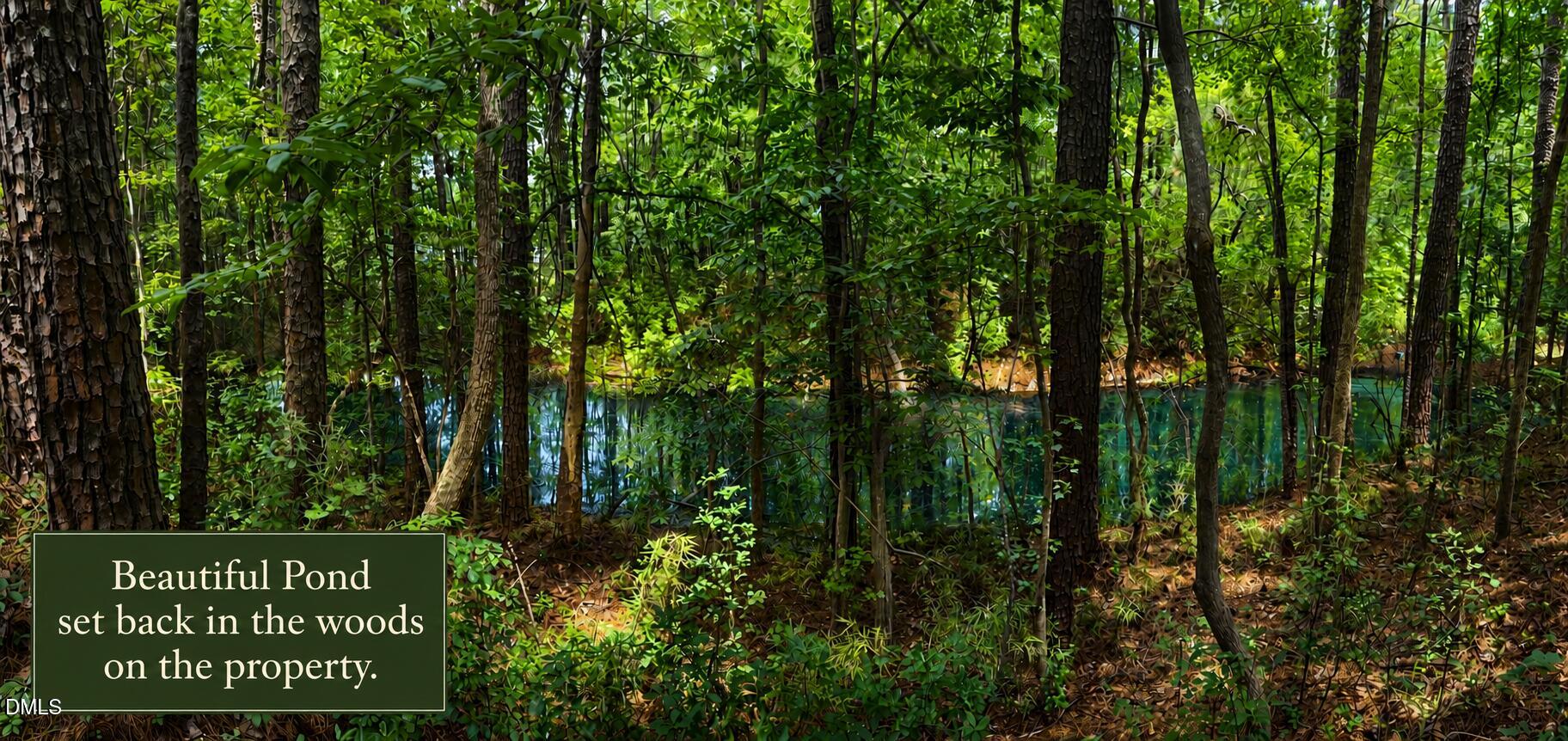 105 Roe Lane Clayton, NC 27527 - Photo 15 of 18 Pond