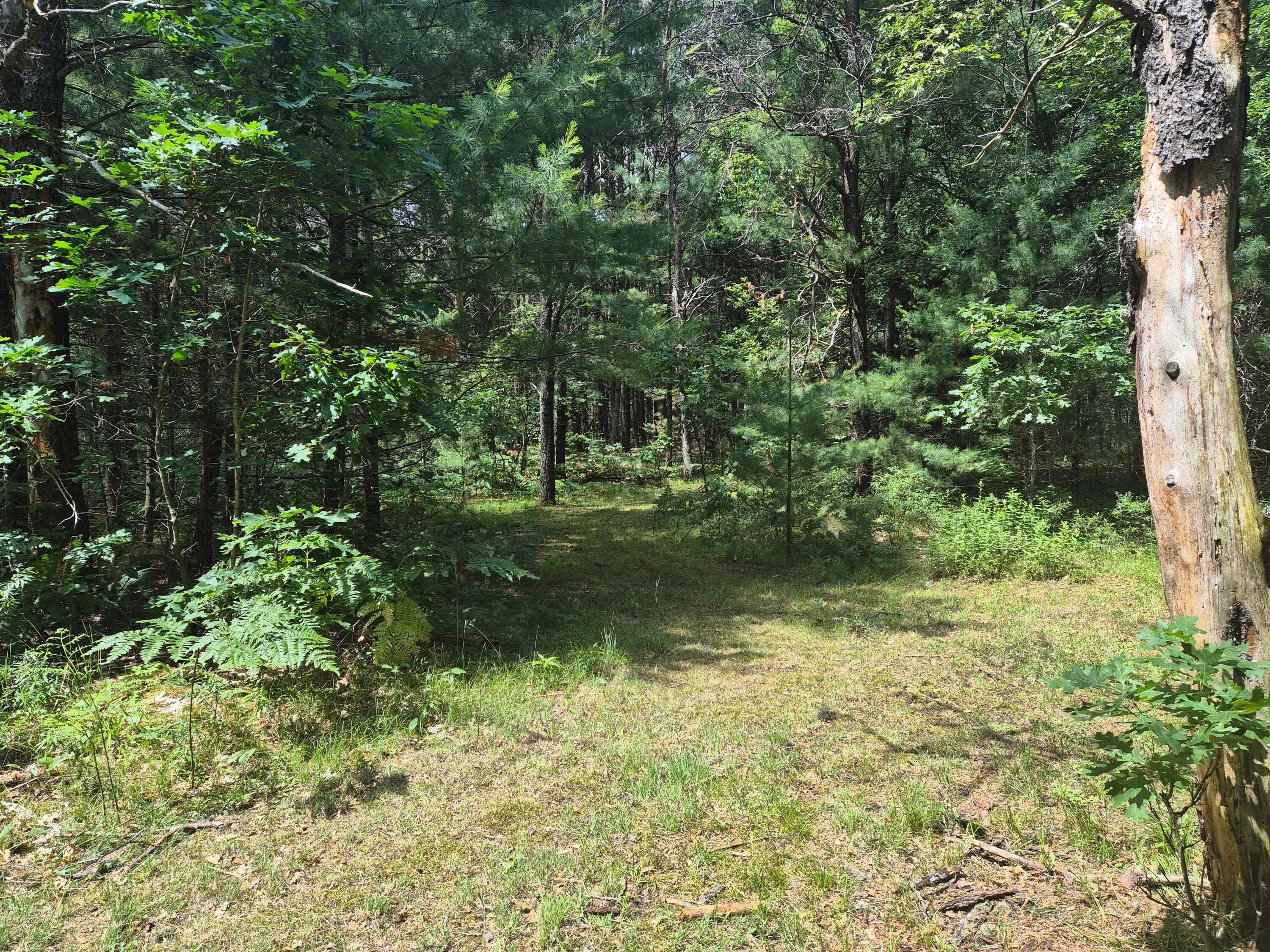 10831 South Grayling Road Roscommon, MI 48653 - Photo 165 of 168 Gallery Image 165