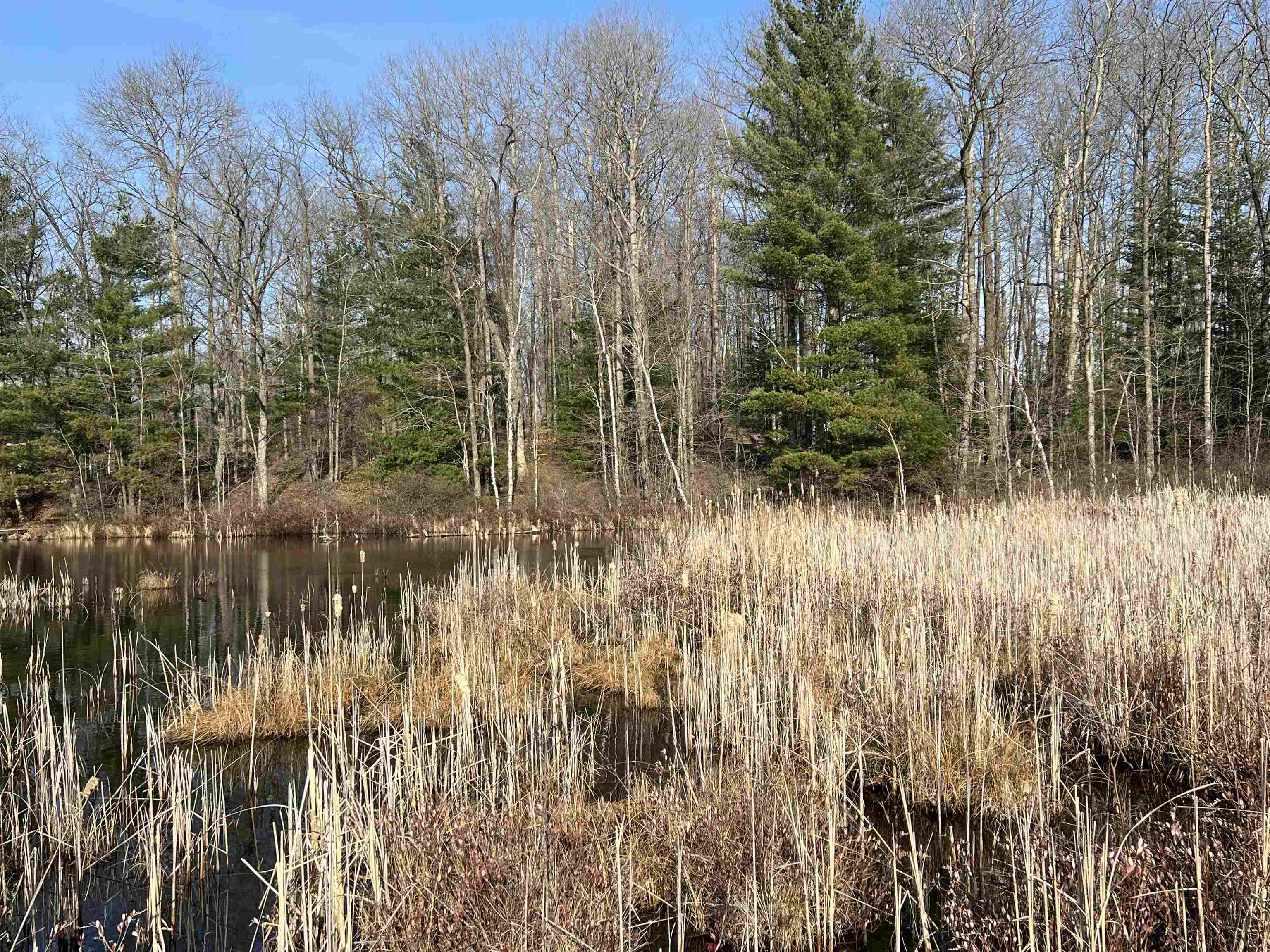 4680 Hayes Road Harrison, MI 48625 - Photo 10 of 13