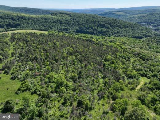 Hill Road Lonaconing, MD 21539 - Photo 15 of 45