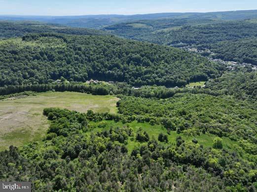 Hill Road Lonaconing, MD 21539 - Photo 20 of 45