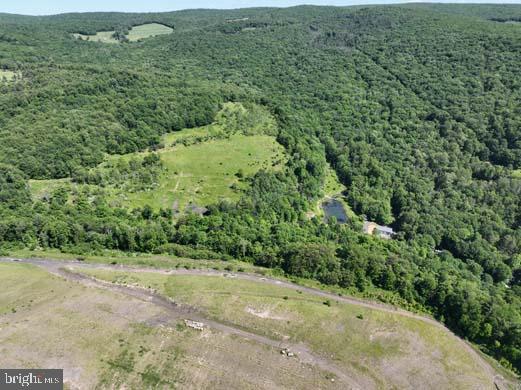 Hill Road Lonaconing, MD 21539 - Photo 23 of 45