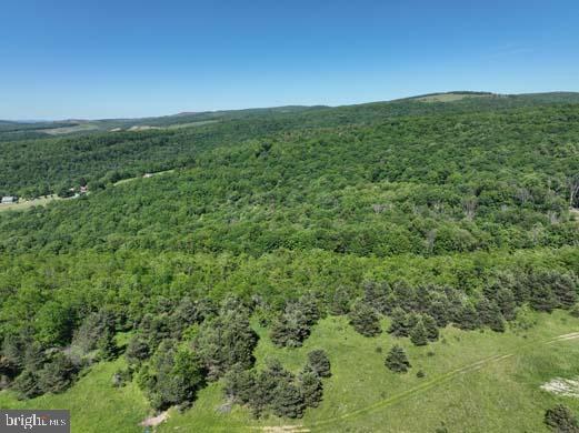 Hill Road Lonaconing, MD 21539 - Photo 29 of 45