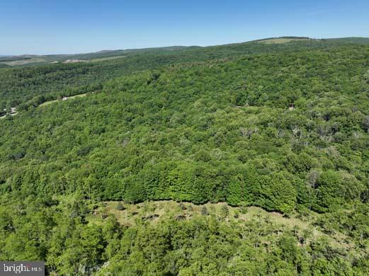 Hill Road Lonaconing, MD 21539 - Photo 32 of 45