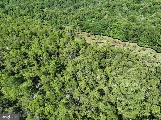 Hill Road Lonaconing, MD 21539 - Photo 33 of 45