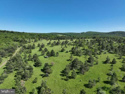 Hill Road Lonaconing, MD 21539 - Photo 35 of 45