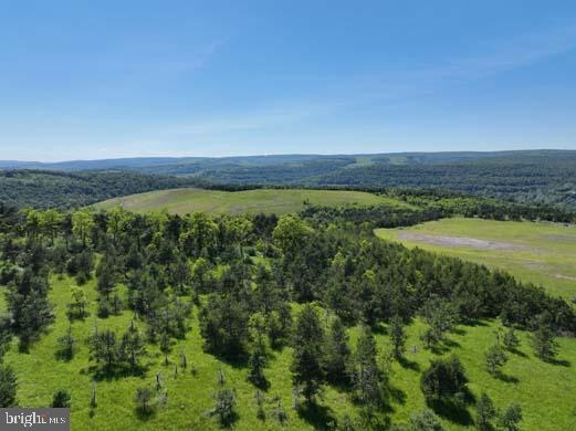 Hill Road Lonaconing, MD 21539 - Photo 37 of 45