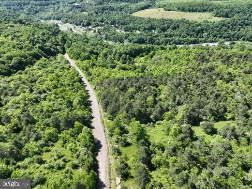 Hill Road Lonaconing, MD 21539 - Photo 41 of 45