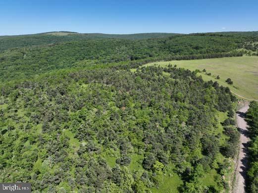 Hill Road Lonaconing, MD 21539 - Photo 44 of 45