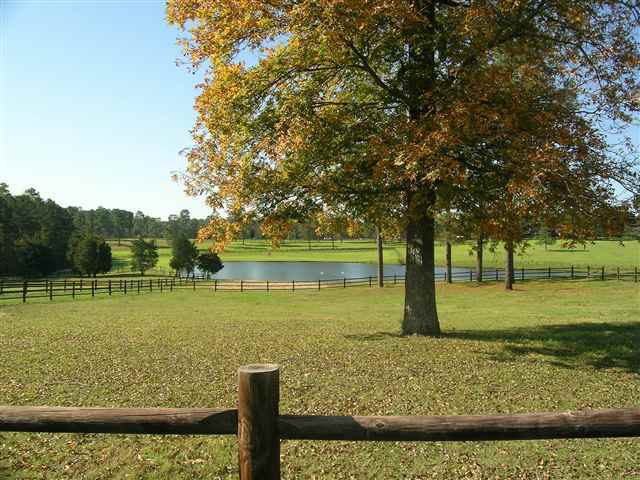 Lot 2 Tremont Road Southern Pines, NC 28387 - Photo 8 of 8 Additional Photo