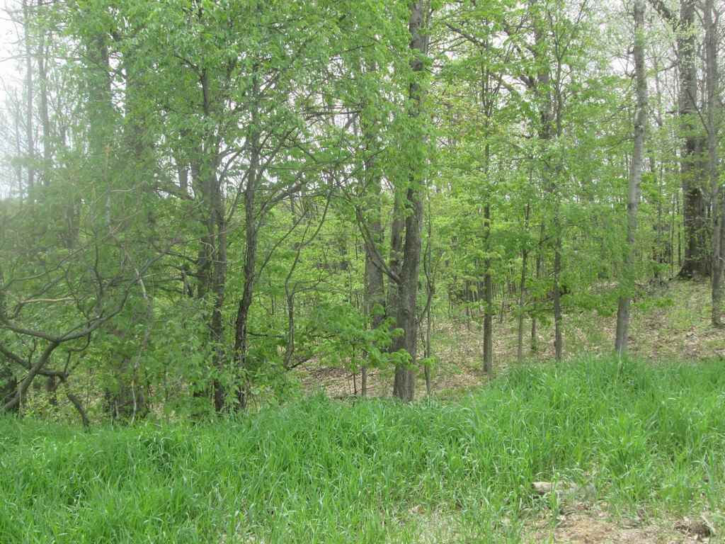 2159 Lund Road Southwest Fife Lake, MI 49633 - Photo 3 of 16 1832602-2.JPG