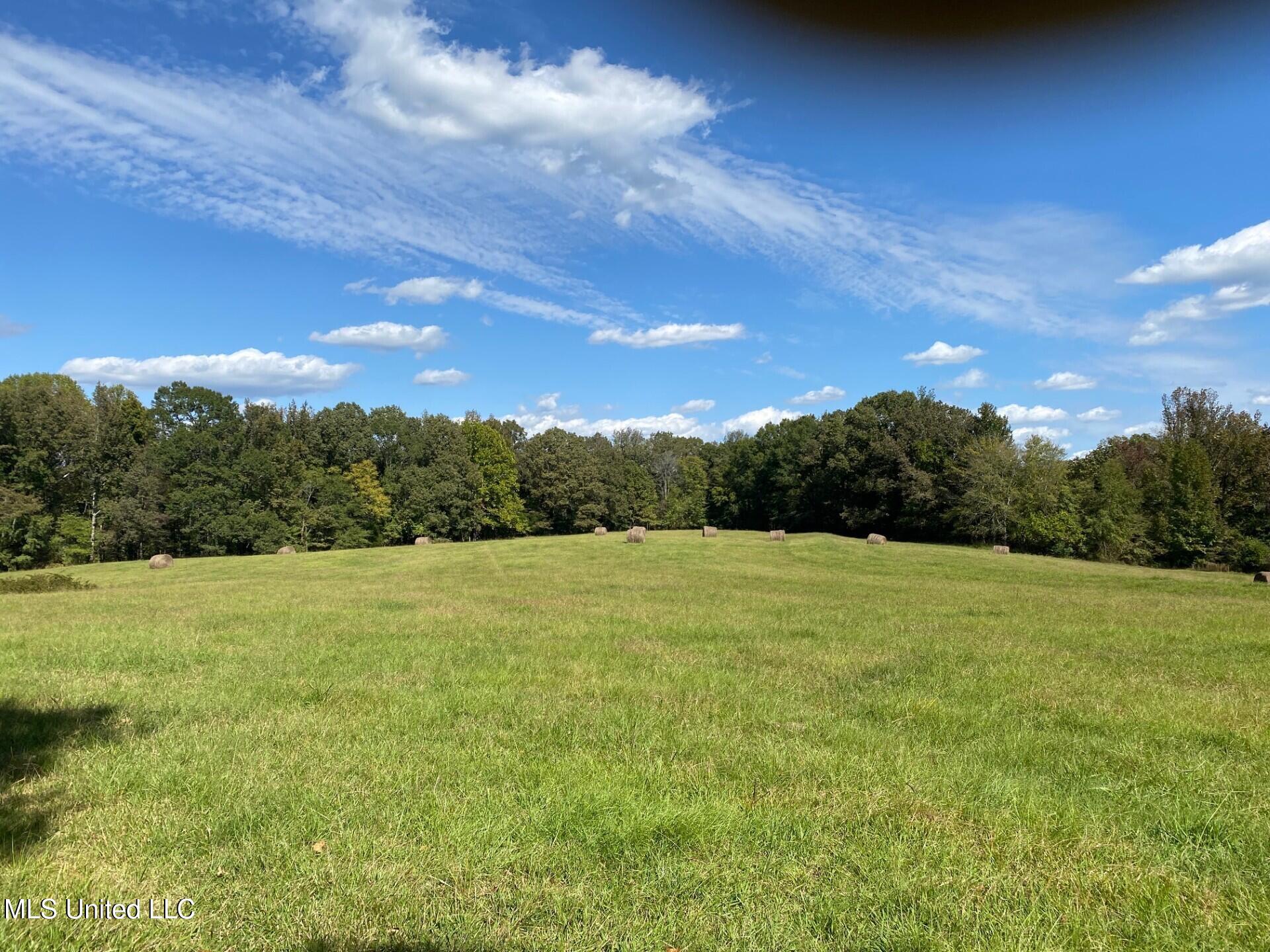 1614 Perry Chapel Road Ashland, MS 38603 - Photo 1 of 48 Beautiful Property