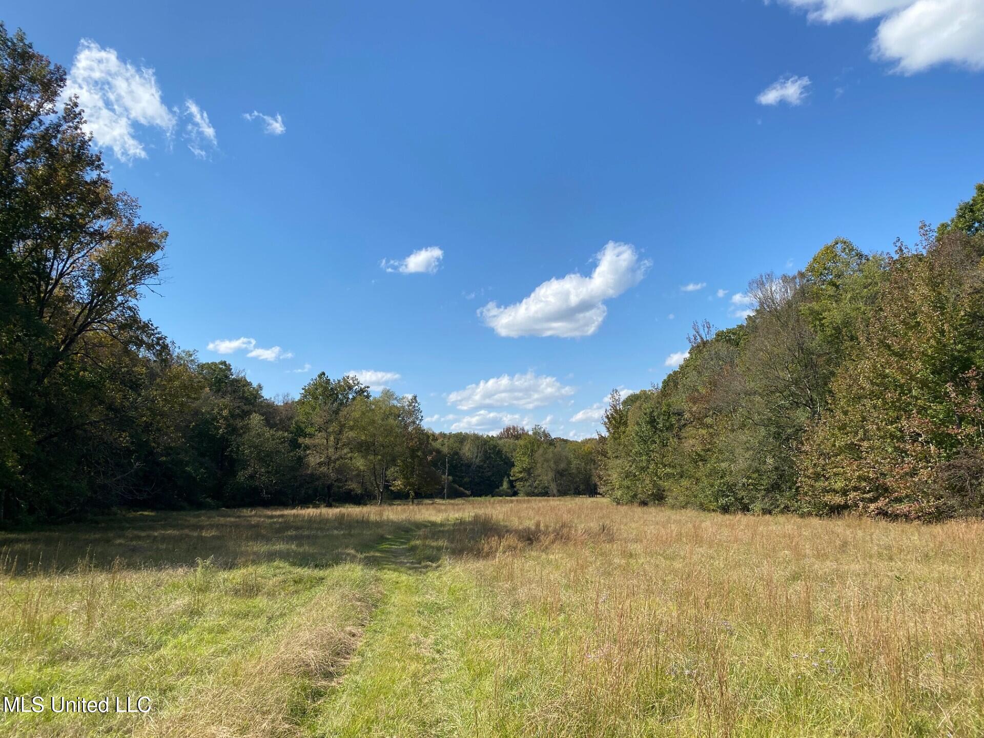 1614 Perry Chapel Road Ashland, MS 38603 - Photo 15 of 48 thumbnail_IMG_4847
