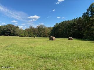 1614 Perry Chapel Road Ashland, MS 38603 - Photo 2 of 48 thumbnail_IMG_4832