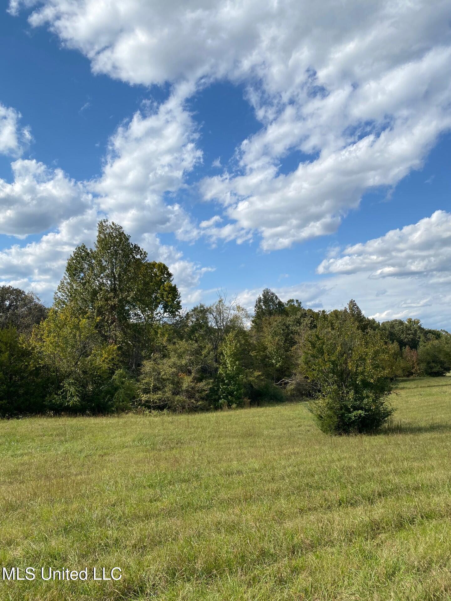 1614 Perry Chapel Road Ashland, MS 38603 - Photo 21 of 48 thumbnail_IMG_4854