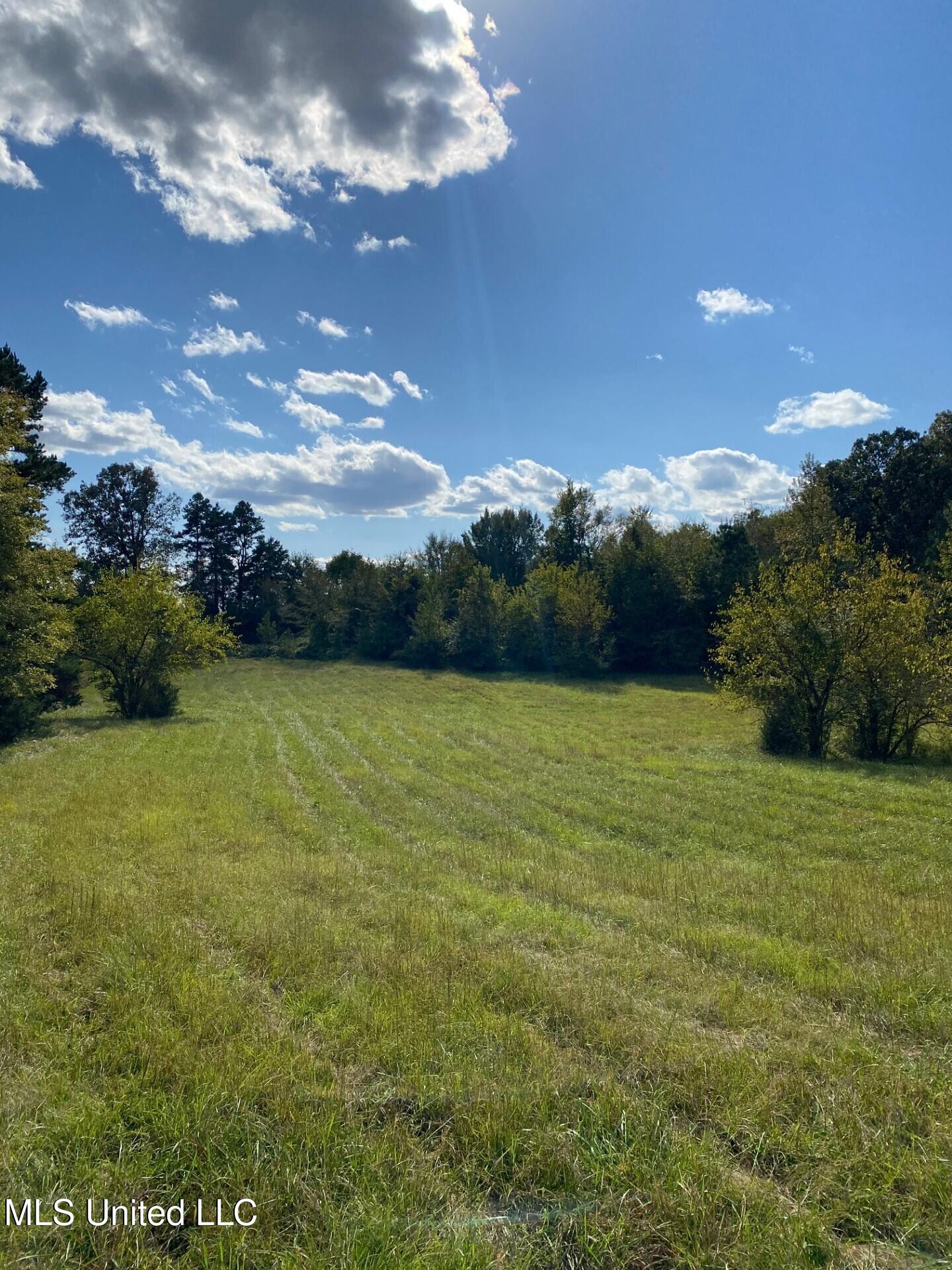 1614 Perry Chapel Road Ashland, MS 38603 - Photo 22 of 48 thumbnail_IMG_4855