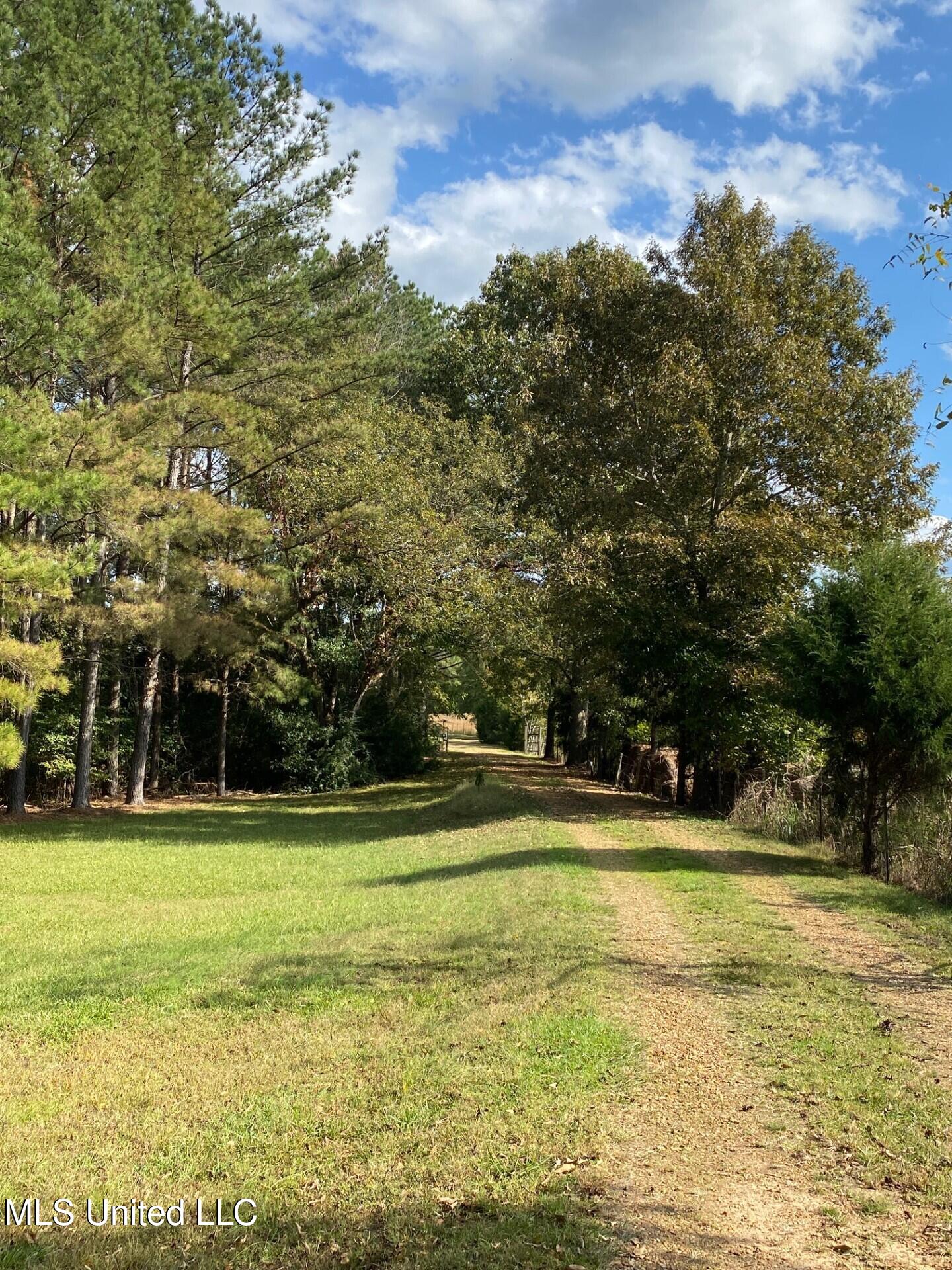 1614 Perry Chapel Road Ashland, MS 38603 - Photo 39 of 48 thumbnail_IMG_4876
