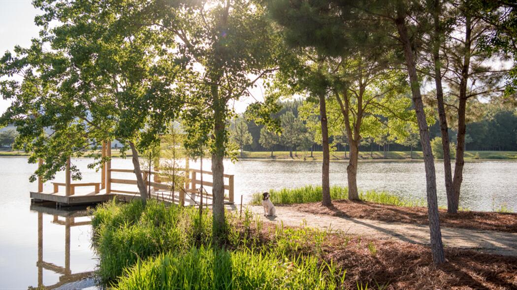 215 Witherspoon Street Summerville, SC 29486 - Photo 9 of 11 Carnes Lake - Copy