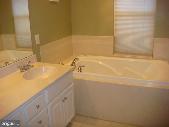 39 Warwick Road Princeton Junction, NJ 08550 - Photo 10 of 15 Master Bathroom