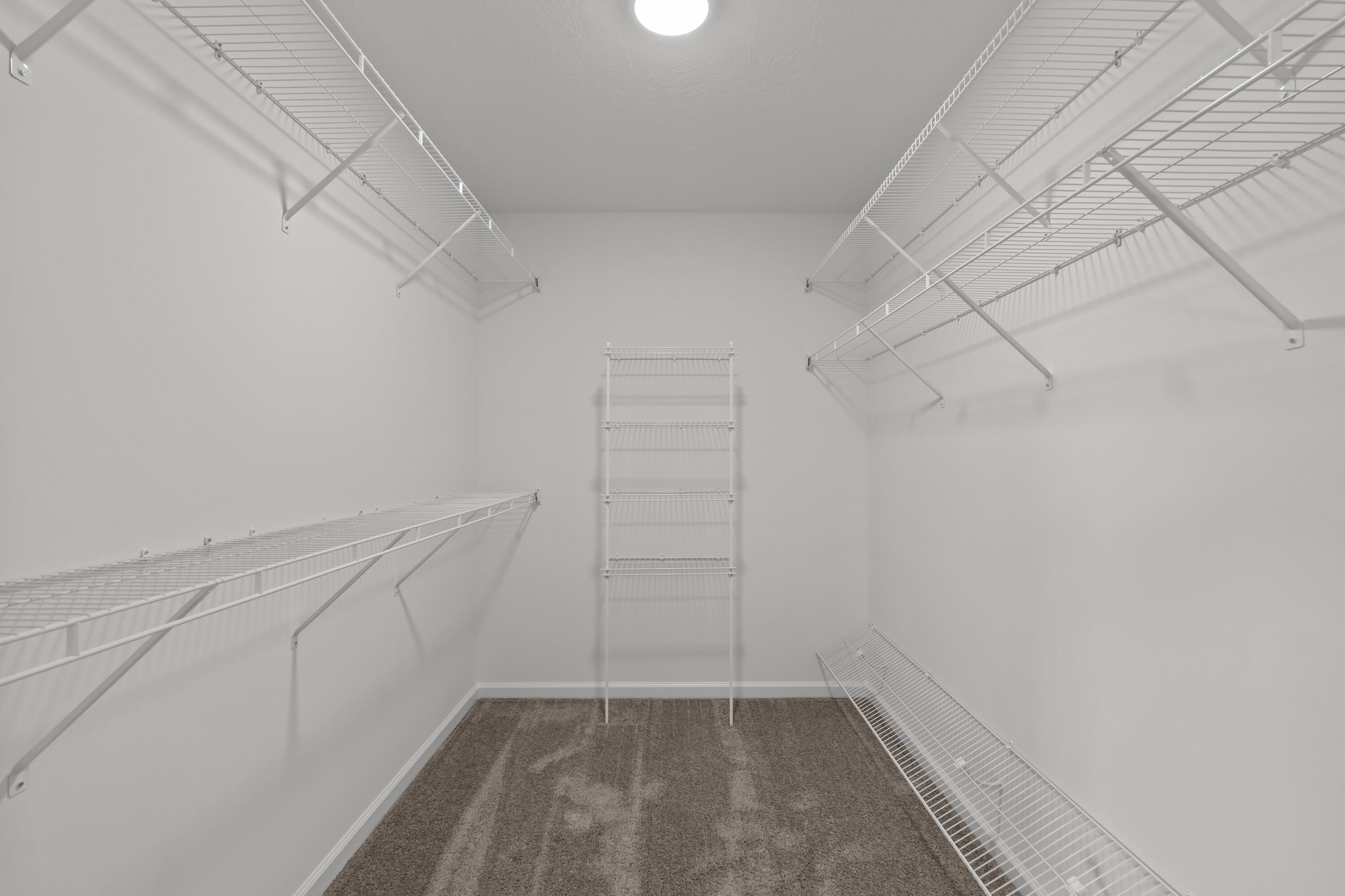 3005 Brems Drive Augusta, GA 30909 - Photo 23 of 41 Primary Suite Closet