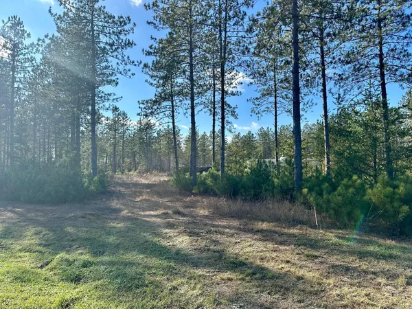 $37,500 | Xxx Cathedral Pines Drive, Sturgeon Lake, MN 55783