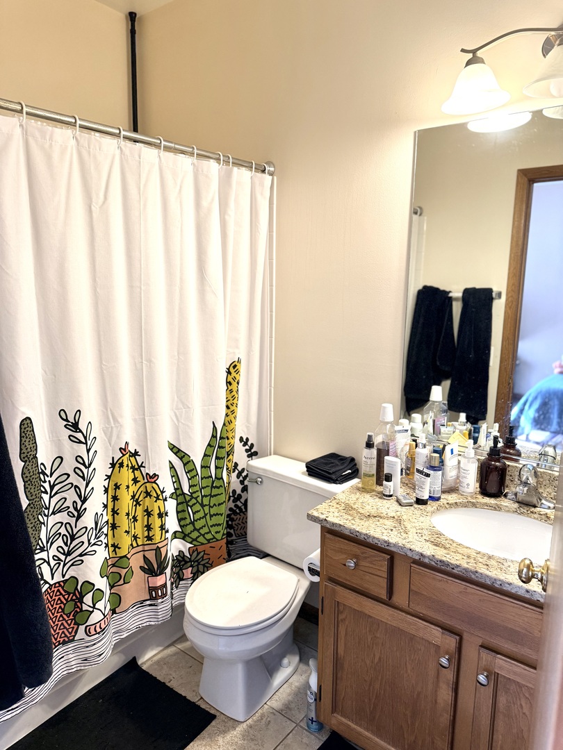 1159 East Addison Avenue Lombard, IL 60148 - Photo 11 of 14 a bathroom with a granite countertop toilet sink and mirror