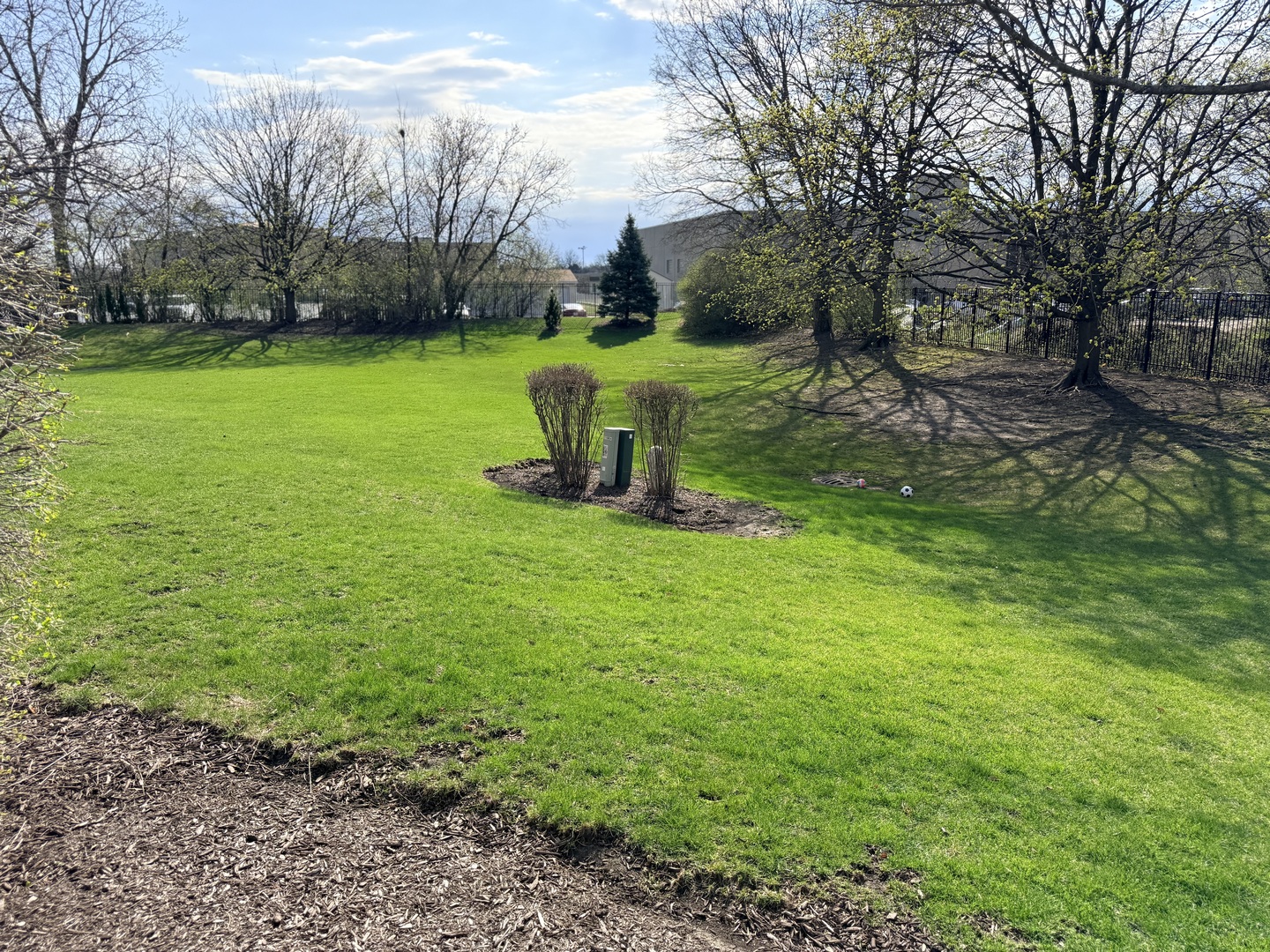 1159 East Addison Avenue Lombard, IL 60148 - Photo 13 of 14 a view of a garden with basketball court
