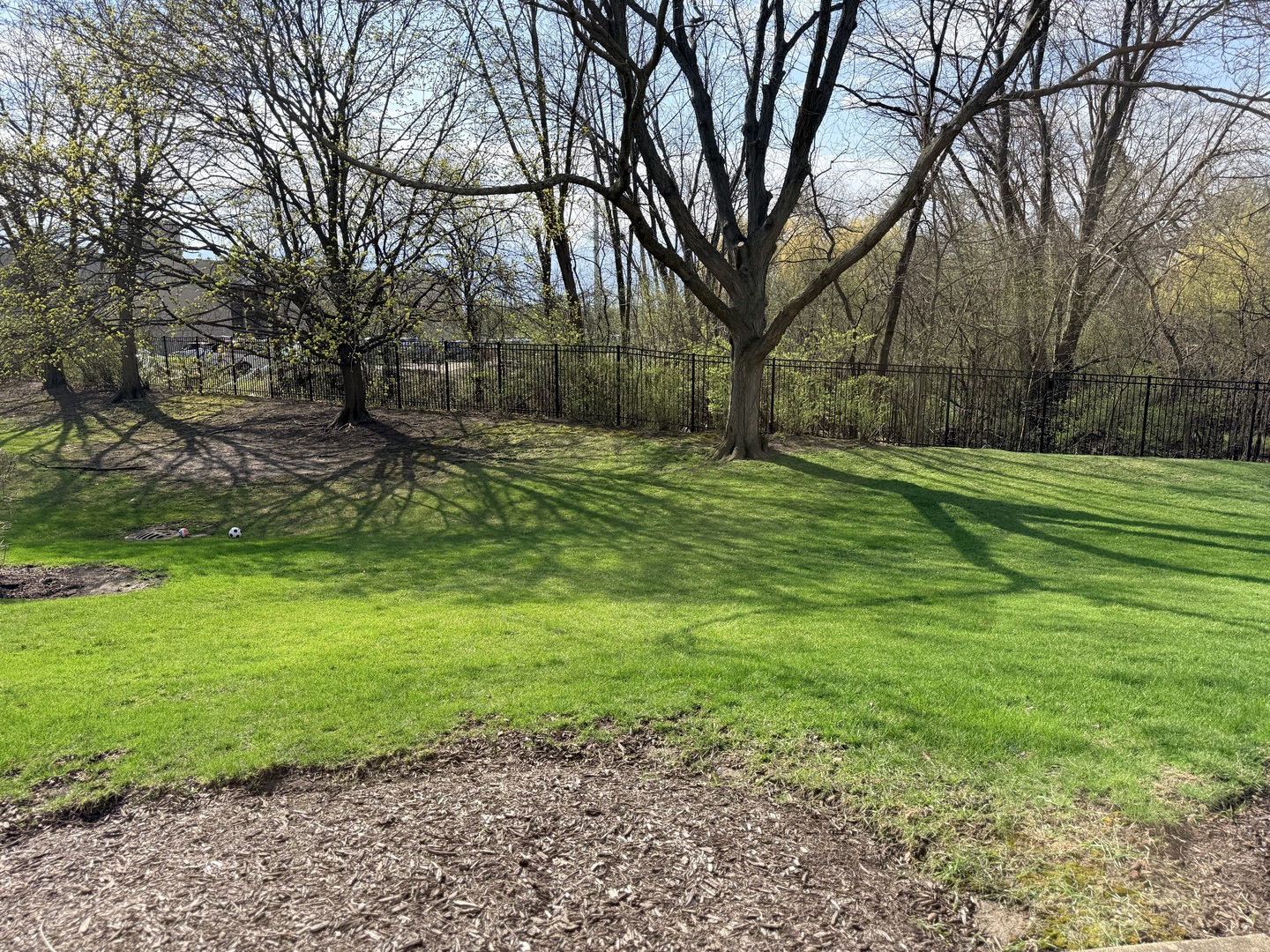 1159 East Addison Avenue Lombard, IL 60148 - Photo 14 of 14 a fire hydrant in the middle of a field