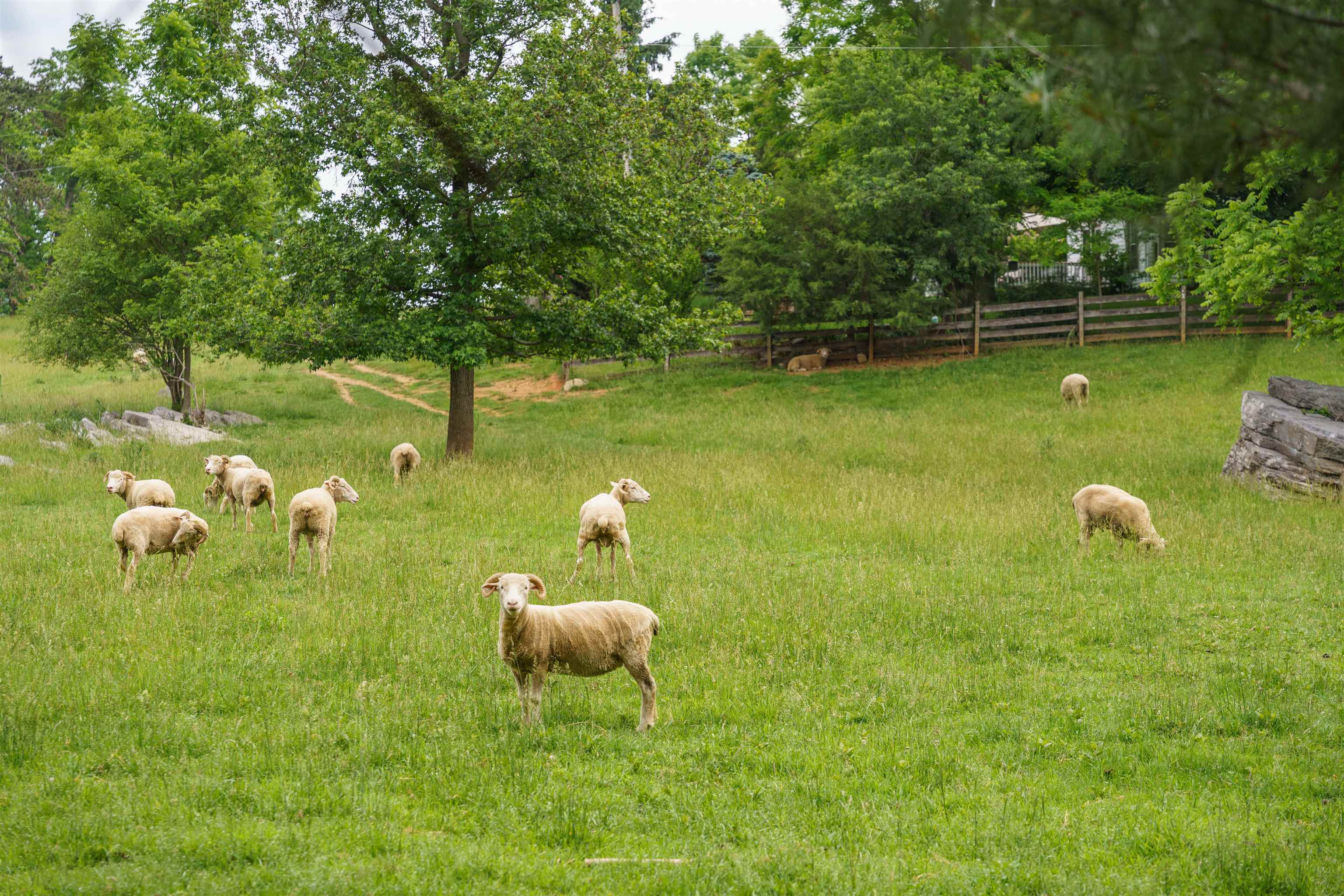 1055 Hundley Distillery Road Churchville, VA 24421 - Photo 10 of 10