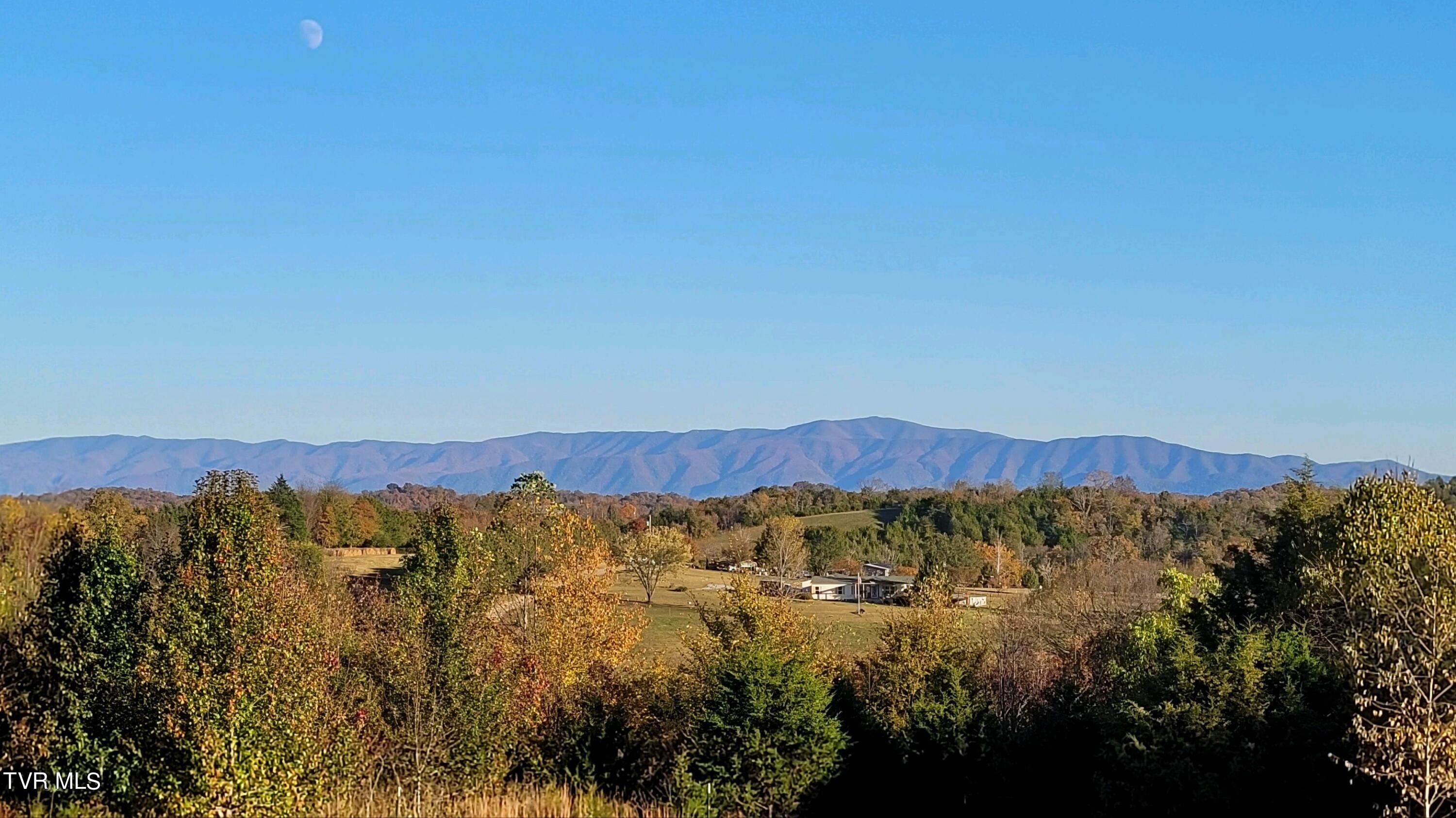 1250 McMillan Road Midway, TN 37809 - Photo 2 of 37 20231024_173129