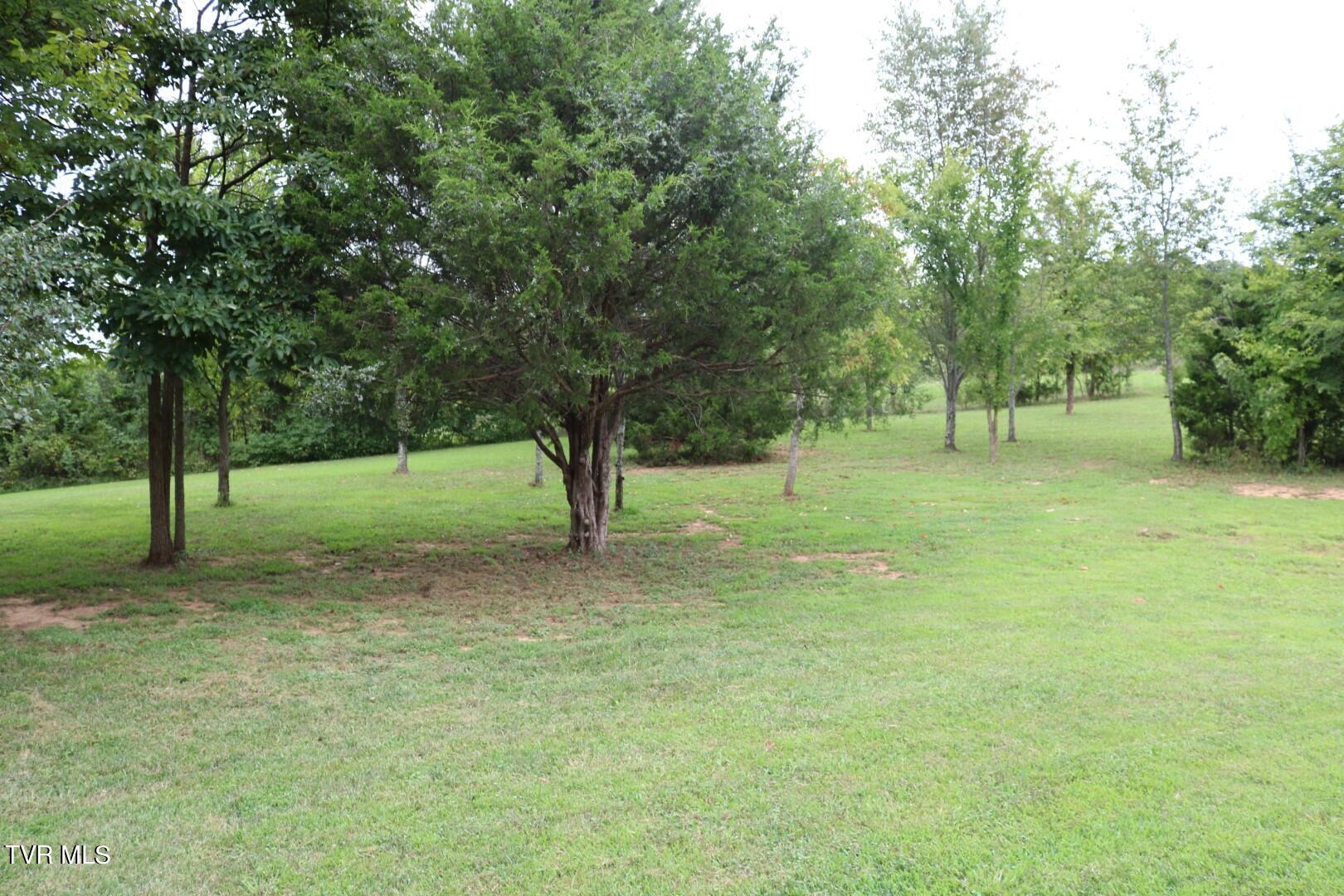 1250 McMillan Road Midway, TN 37809 - Photo 36 of 37 IMG_6468
