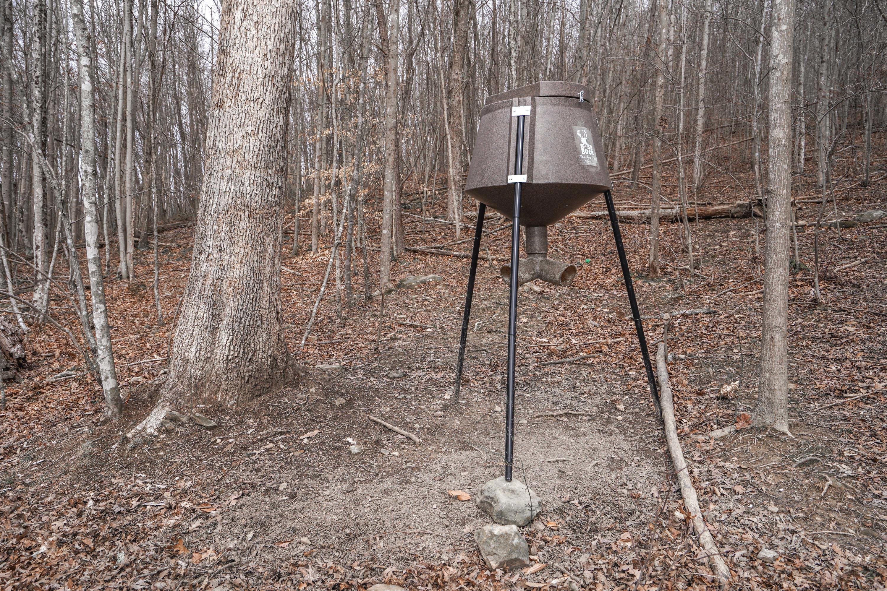 360 Fields Hollow Road Peebles, OH 45660 - Photo 24 of 55 Gallery Image 24
