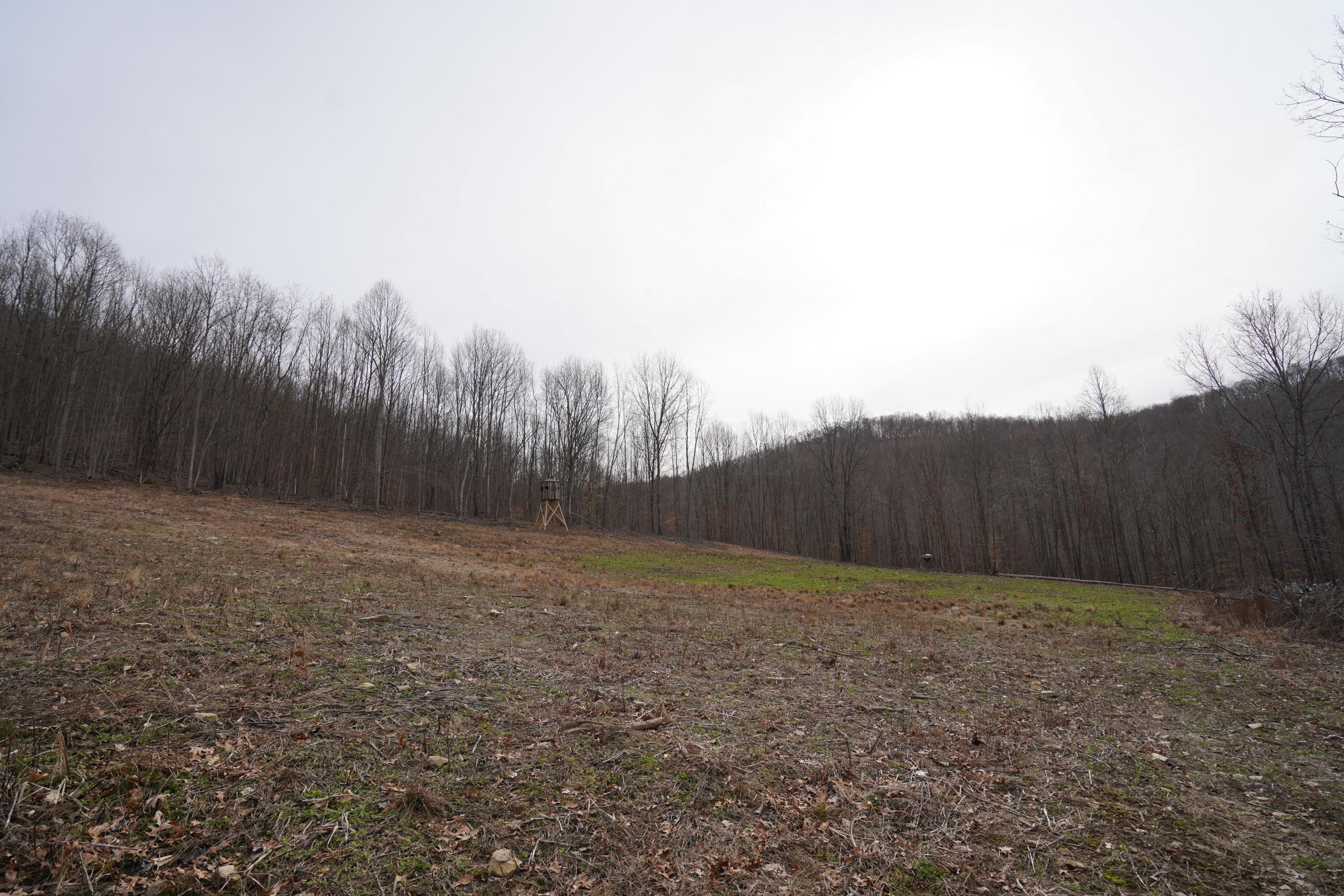360 Fields Hollow Road Peebles, OH 45660 - Photo 28 of 55 Gallery Image 28