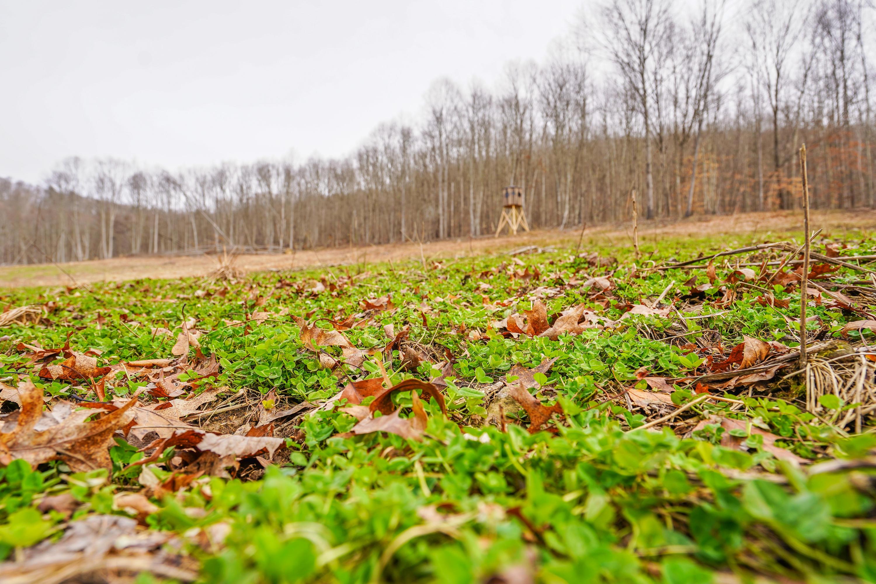 360 Fields Hollow Road Peebles, OH 45660 - Photo 29 of 55 Gallery Image 29