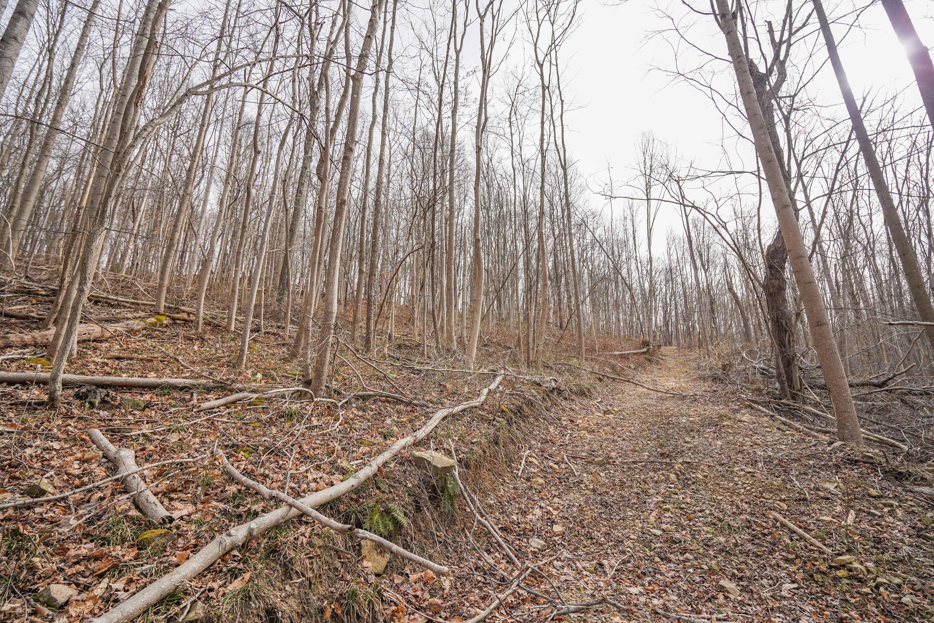 360 Fields Hollow Road Peebles, OH 45660 - Photo 32 of 55 Gallery Image 32