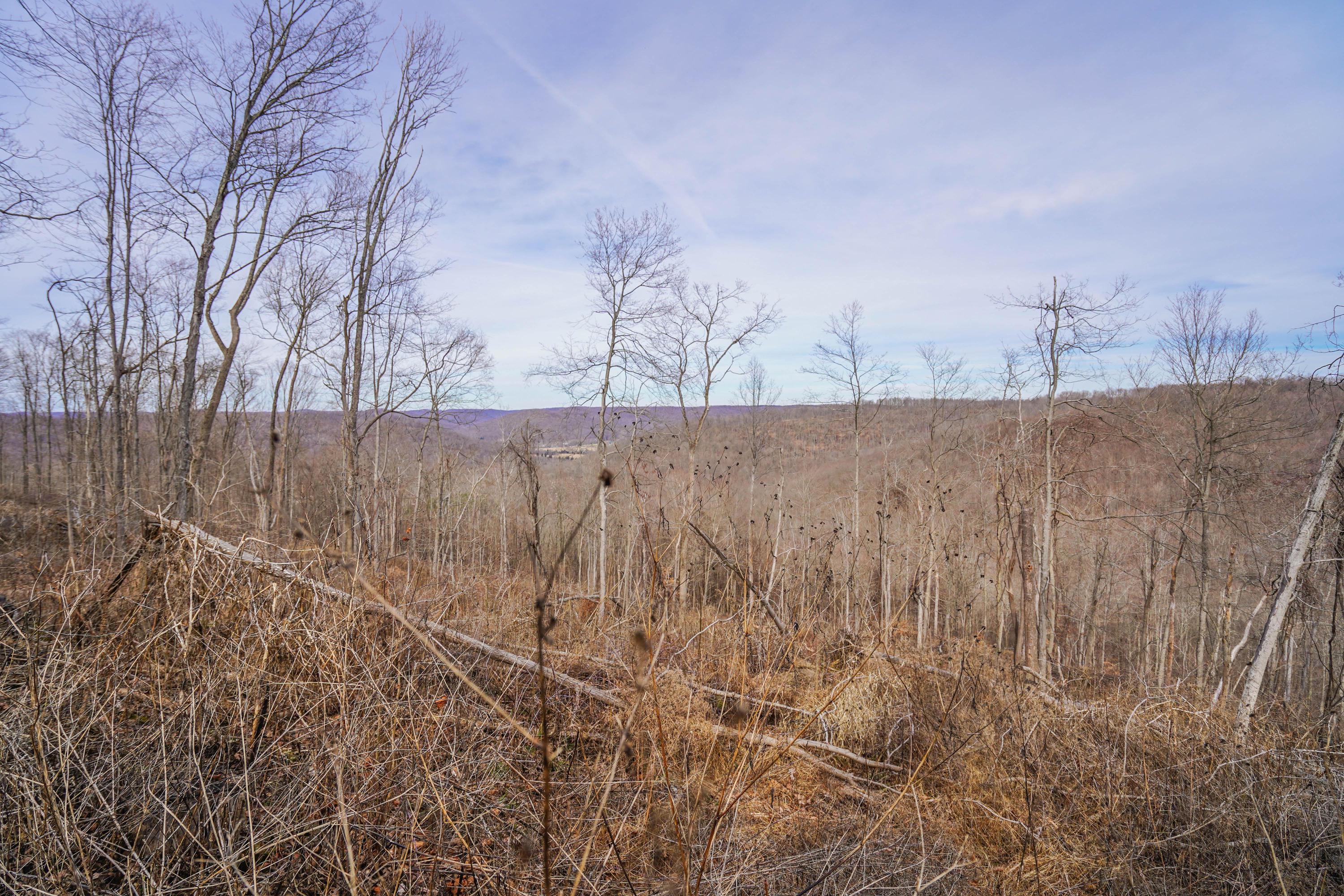 360 Fields Hollow Road Peebles, OH 45660 - Photo 34 of 55 Gallery Image 34