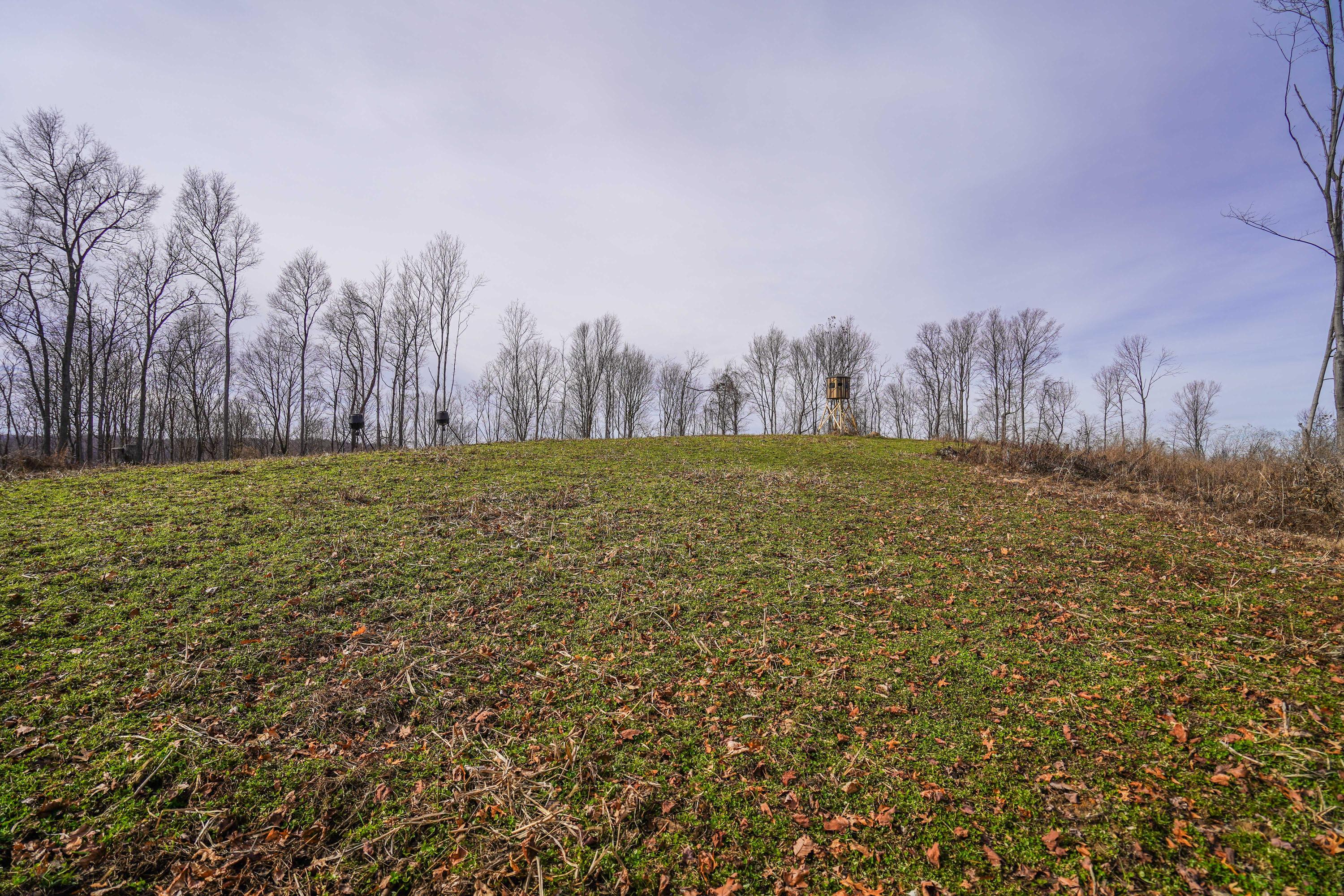 360 Fields Hollow Road Peebles, OH 45660 - Photo 35 of 55 Gallery Image 35
