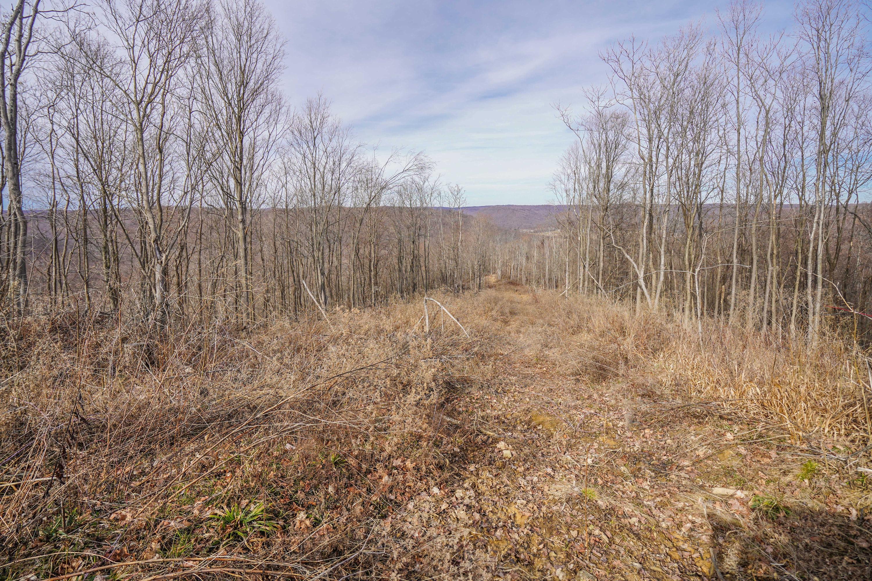 360 Fields Hollow Road Peebles, OH 45660 - Photo 37 of 55 Gallery Image 37