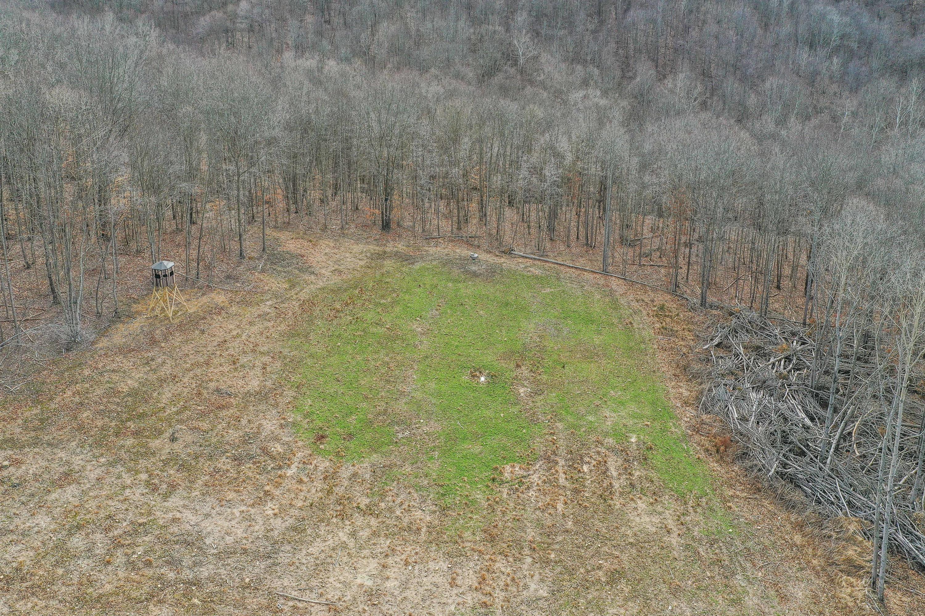 360 Fields Hollow Road Peebles, OH 45660 - Photo 41 of 55 Gallery Image 41