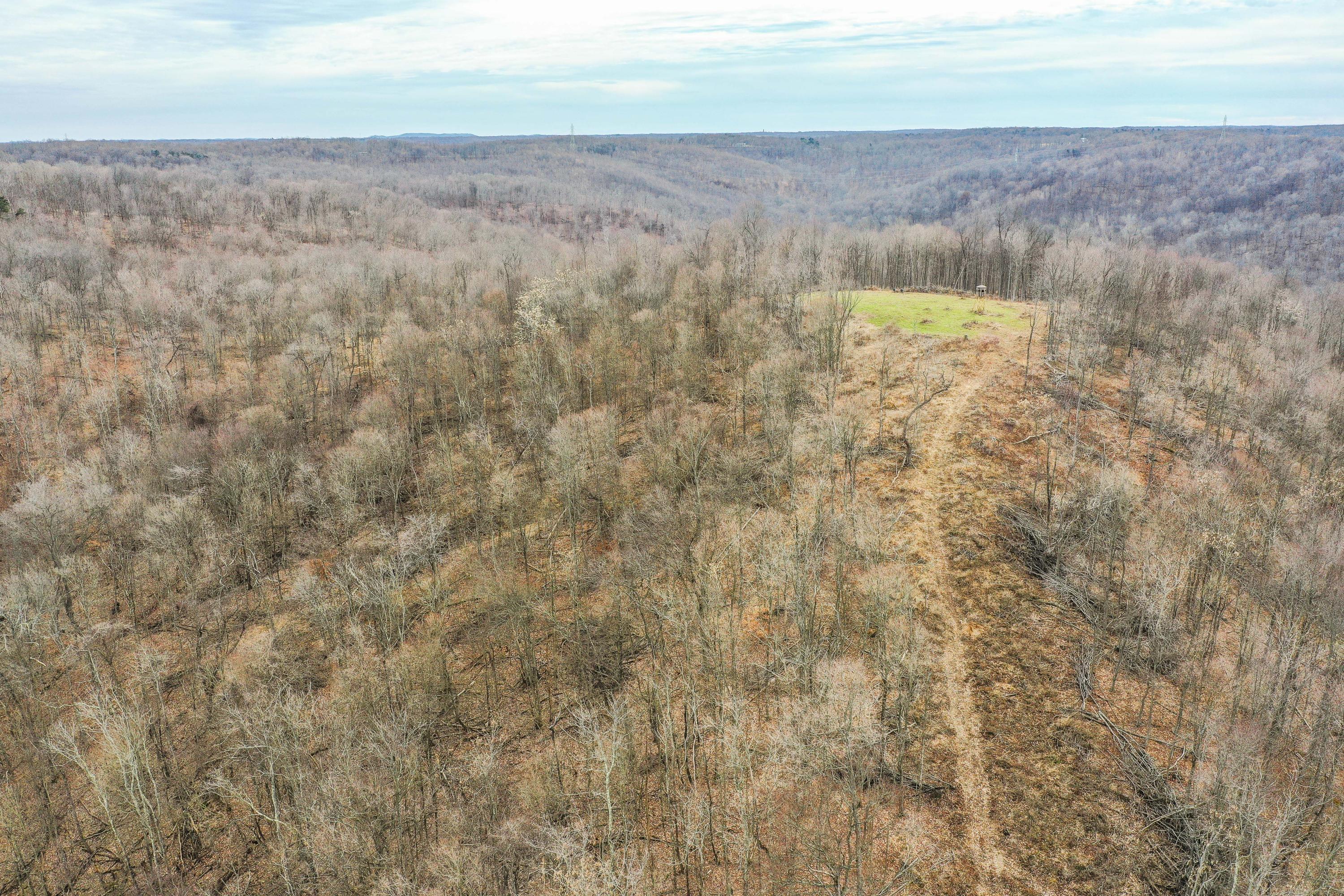 360 Fields Hollow Road Peebles, OH 45660 - Photo 43 of 55 Gallery Image 43