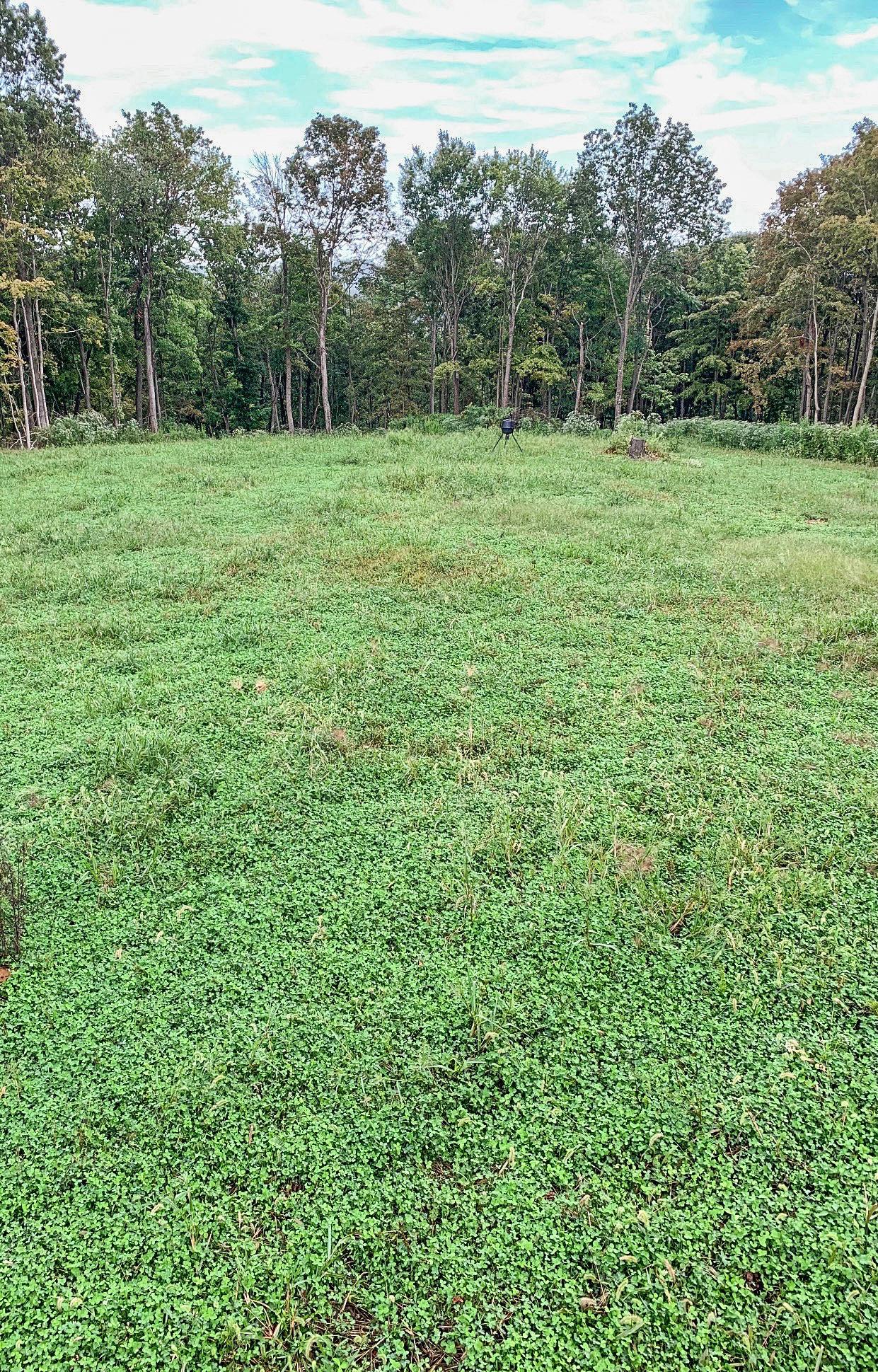 360 Fields Hollow Road Peebles, OH 45660 - Photo 47 of 55 Gallery Image 47