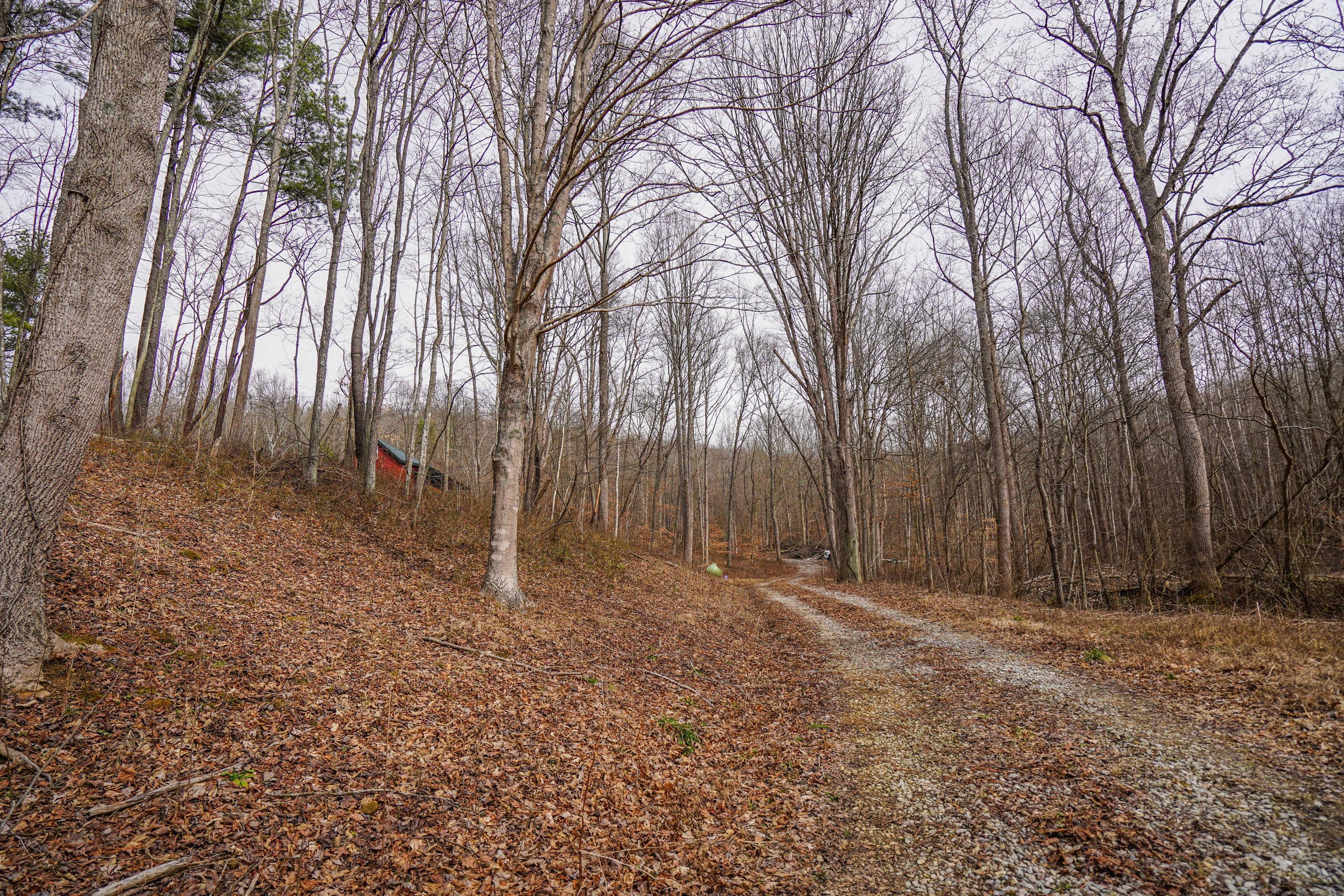 360 Fields Hollow Road Peebles, OH 45660 - Photo 6 of 55 Gallery Image 6
