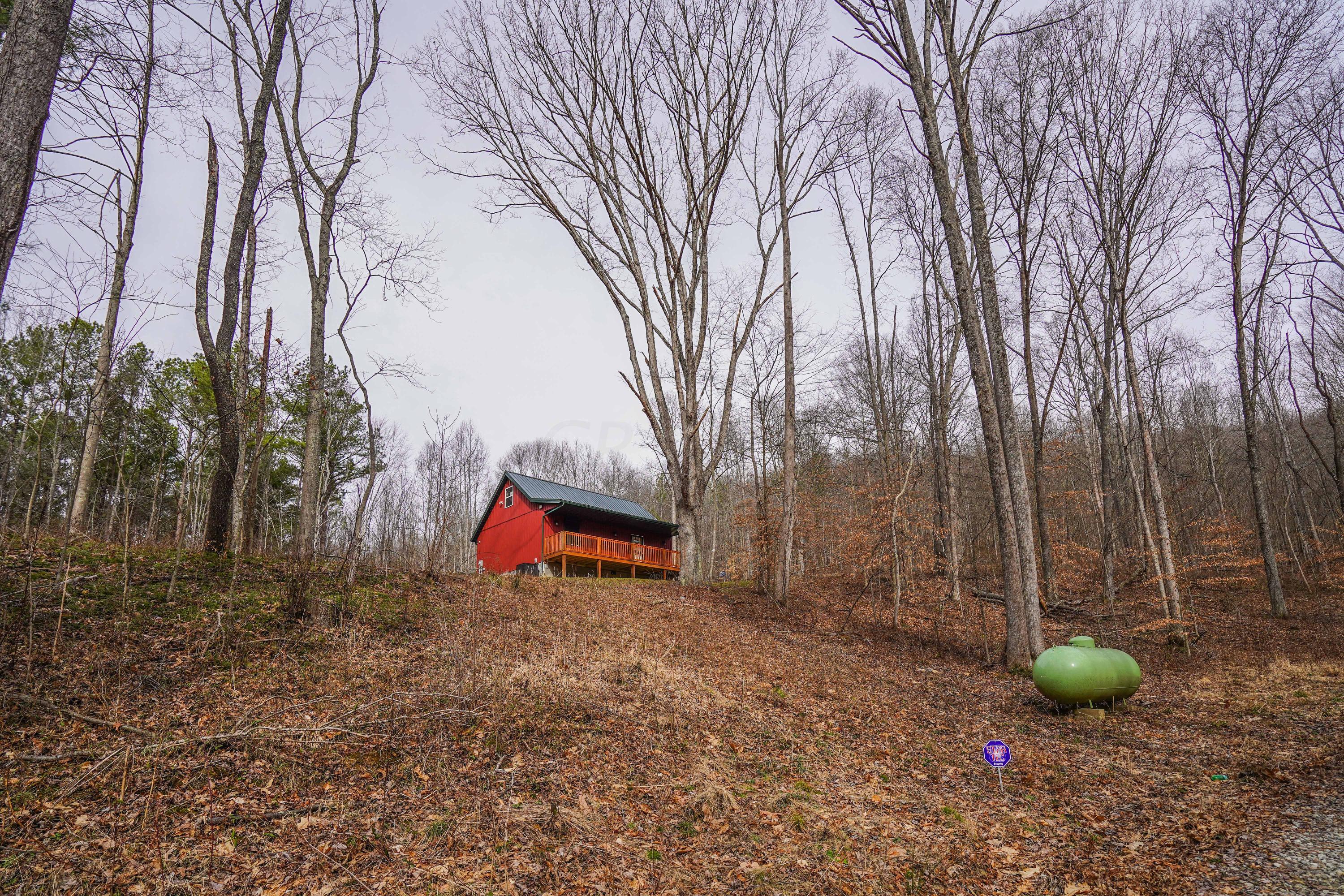 360 Fields Hollow Road Peebles, OH 45660 - Photo 7 of 55 Gallery Image 7