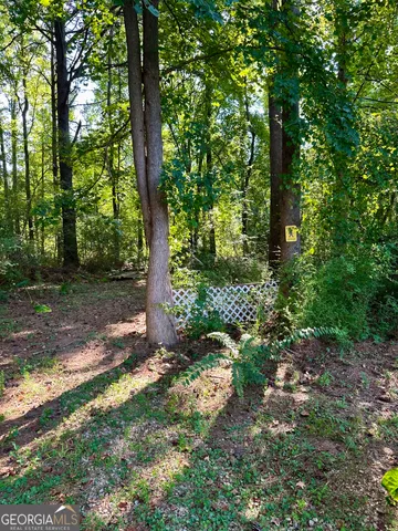 $485,750 | 230 Gaelic Way, Tyrone, GA 30290