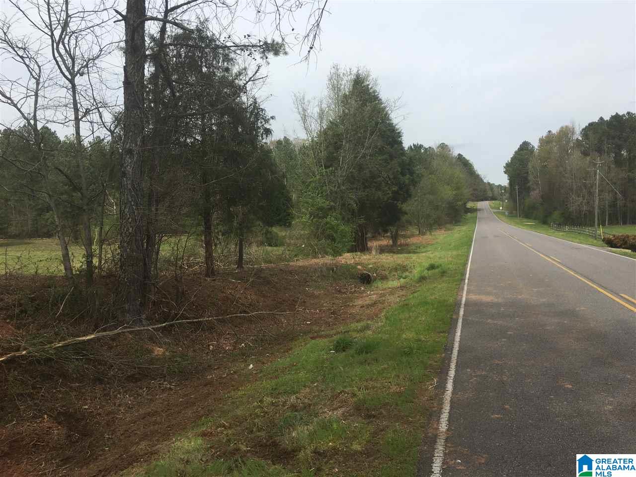 0 Duck Springs Road, Unit 2 PARCELS Attalla, AL 35954 - Photo 3 of 24